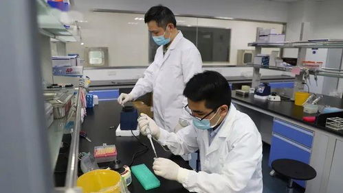 科技抗疫新突破 滬企融合通信技術(shù)，核酸檢測時間大幅縮短至1小時