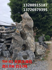 探尋英德市望埠鎮(zhèn)強(qiáng)晟石場(chǎng) 天然太湖石與優(yōu)質(zhì)景觀石的瑰麗世界
